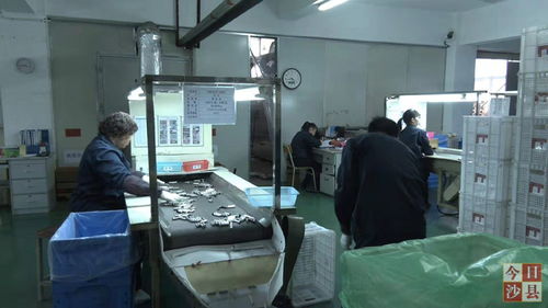 金楊科技春節(jié)不打烊，增資擴產(chǎn)技術(shù)服務忙